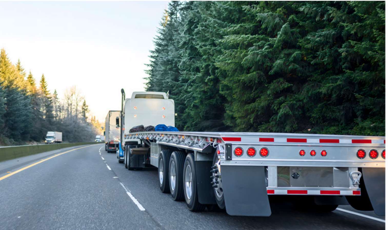 Fleet on highway